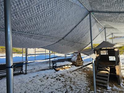 Brandywine Valley SPCA snow damage