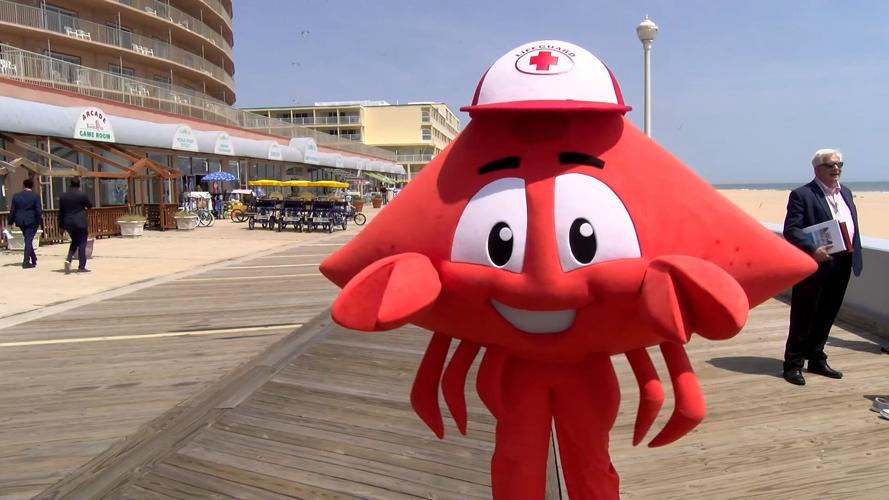 Cheswick the Crab Promotes Traffic Safety