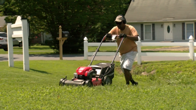 Lawn Mower At Work