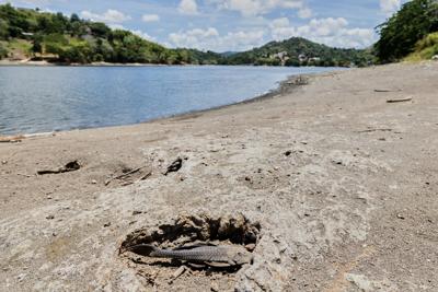 Puerto Rico Water Rationing