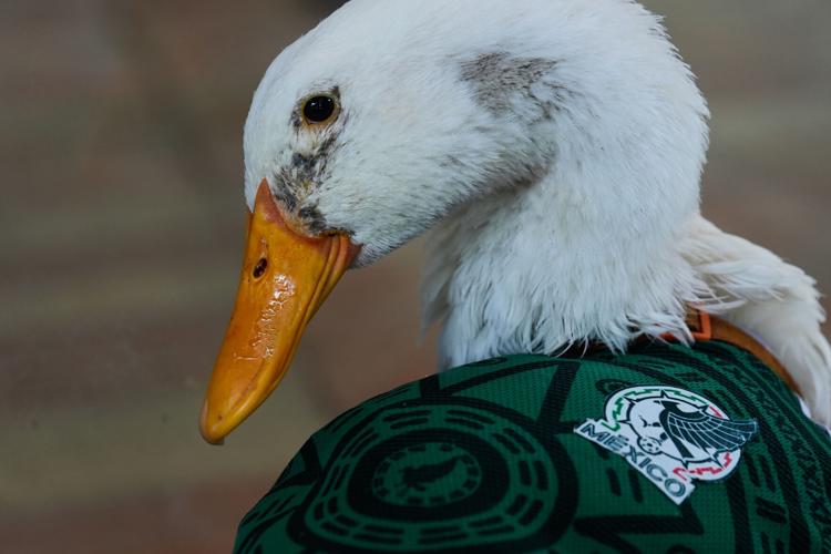 Mexico WCup Mascot