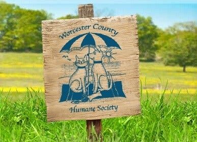 Worcester County Humane Society to Hold Open House