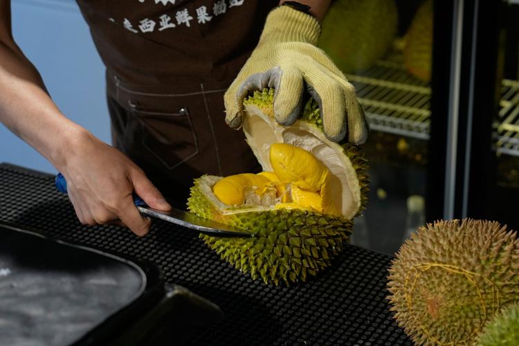 Climate Malaysia Durian