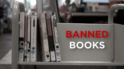 Banned Books Graphic
