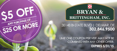 BryanBritt-Sp15_Coupon