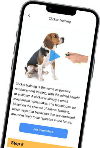 App Development Costs Drop From $200,000 to Near $50,000 as Chop Dawg Pairs AI-Accelerated Engineering With 18 Years of Discipline
