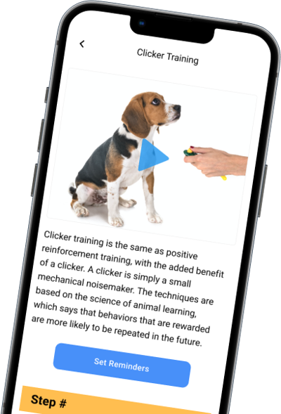 App Development Costs Drop From $200,000 to Near $50,000 as Chop Dawg Pairs AI-Accelerated Engineering With 18 Years of Discipline