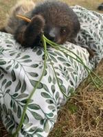 117092287_993761851070731_4585622680583058414_n