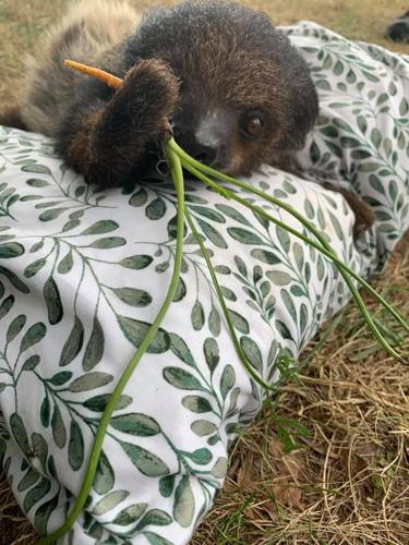 117092287_993761851070731_4585622680583058414_n