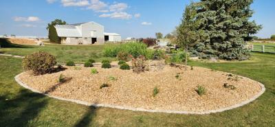 Fond du Lac Landscaper Continues Their Commitment To Pollinator Plant Services