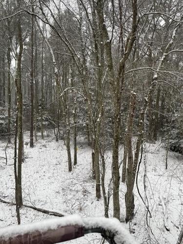 Alyssa K Trimmer Pittsville.jpg