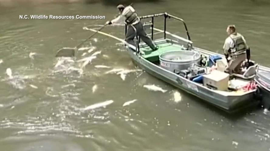 Electrofishing