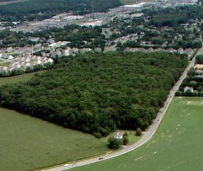 Sussex County Council Approves Arbor Lyn Development, But With Some Changes