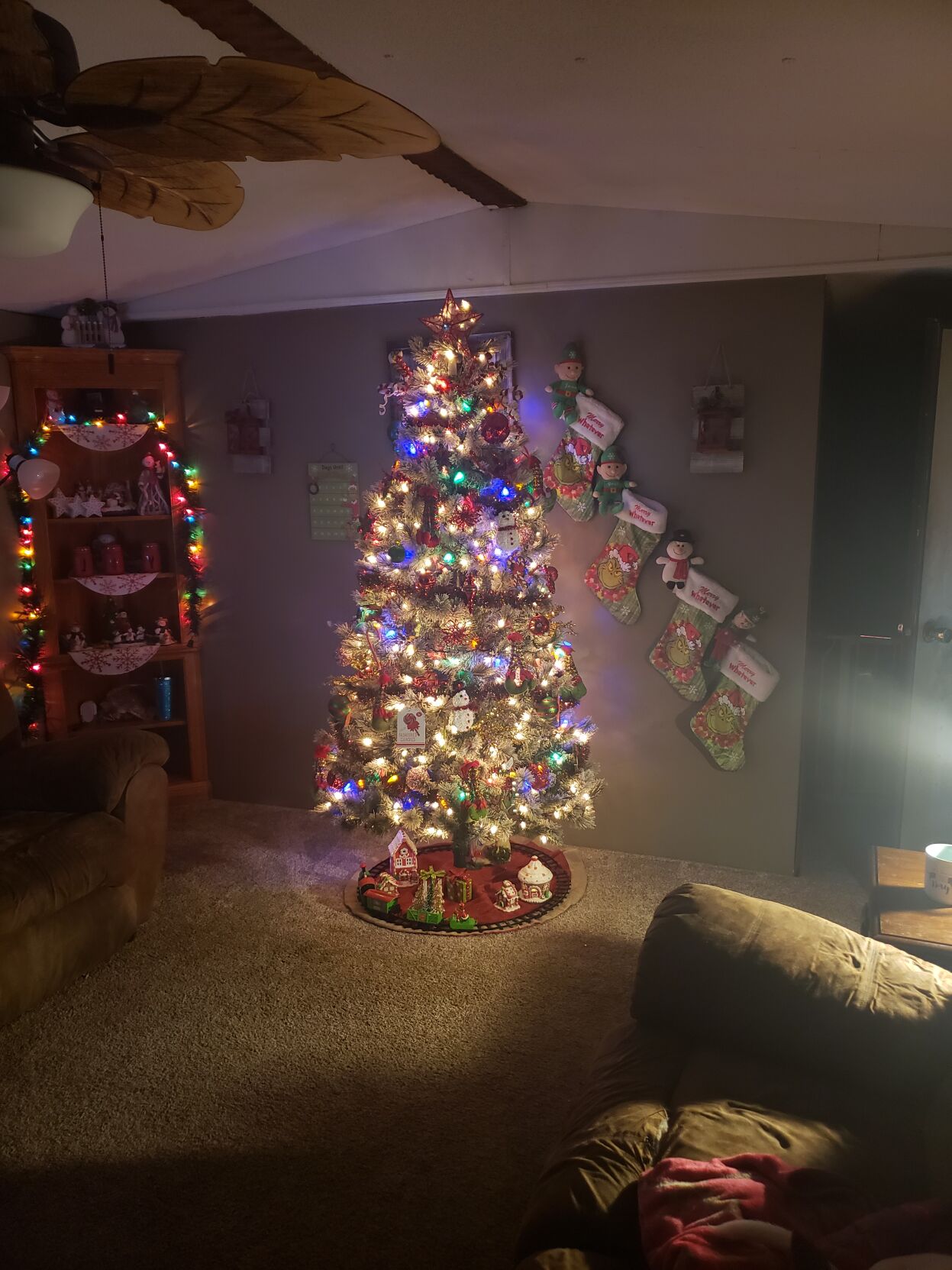 Jodie Caldwell's tree in Felton, Del.