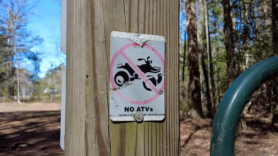 Pocomoke State Forest Sign