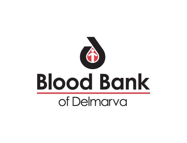 12184314_10156180412960557_3942482658863048742_o