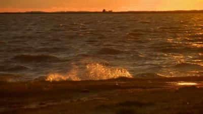 Travels With Charlie: Watching the Tide Come In