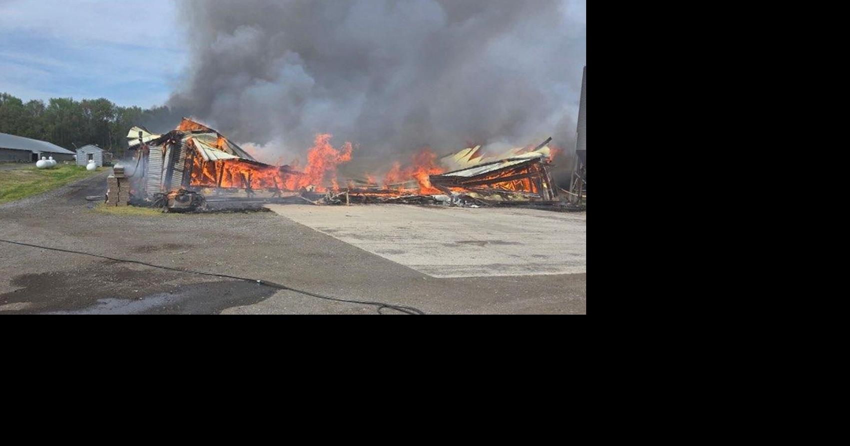 Two Harrington chicken houses full of birds destroyed in fire | Latest ...