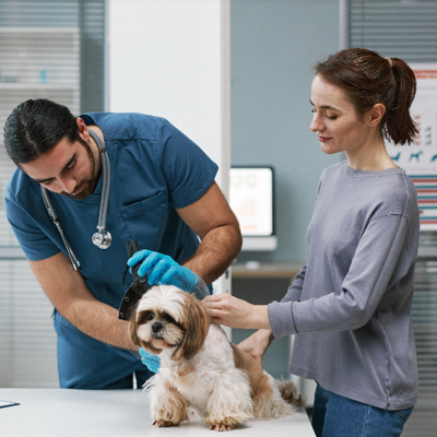 Hudson Animal Hospital: New York's Professional Veterinarians