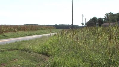 Sussex P&Z Commission Recommends Denying Belle Terre Housing Development