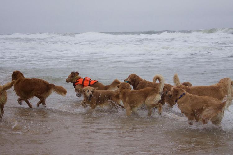 14524631_648591841981200_1231702747649029823_o