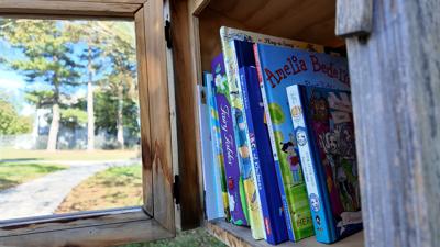 Books in the Little Library in Seaford