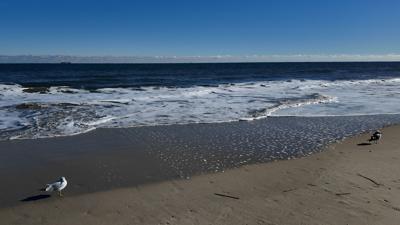 Waves