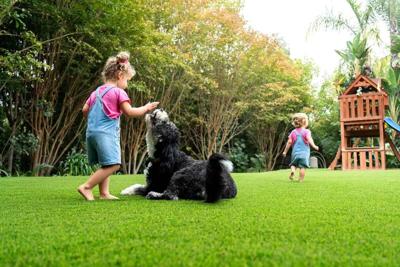 Big Bully Turf Expands Pet Turf Services Across 6 Southwest Markets