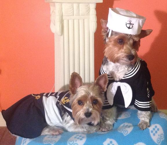 Zoey & Jasper’s Halloween outfits