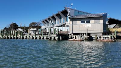 Virginia Institute of Marine Science Eastern Shore Laboratory