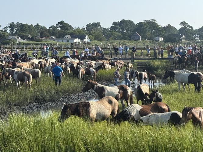 Photo Jul 30 2025, 8 24 47 AM.jpg