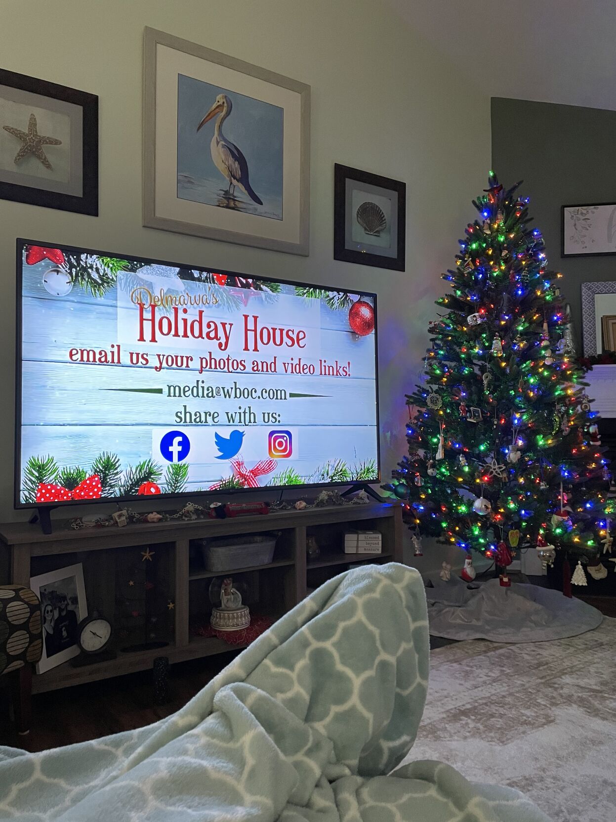 Lloyd Taylor's Christmas tree in Millville, Del.