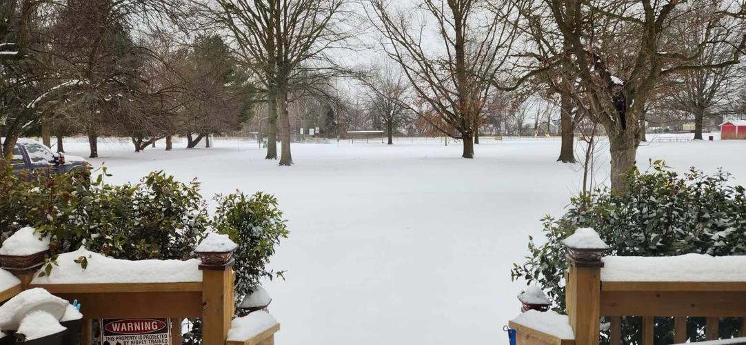 Erin Willis Preston MD.jpg