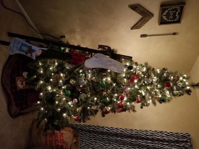 Hannah-Windsor-Princess-Anne