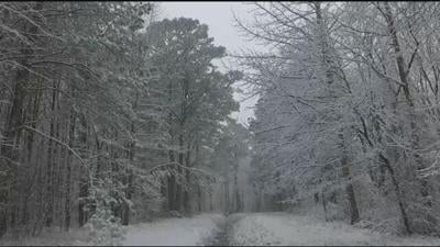 Snow Depth Measurement from 2010 Becomes Delaware Record