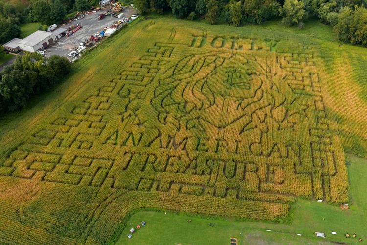 Dolly Parton Corn Maze