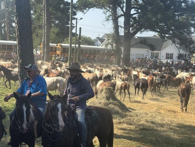 Photo Jul 30 2025, 9 41 14 AM.jpg