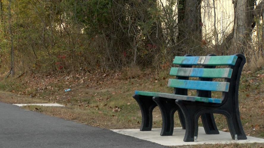 Cannery park bench