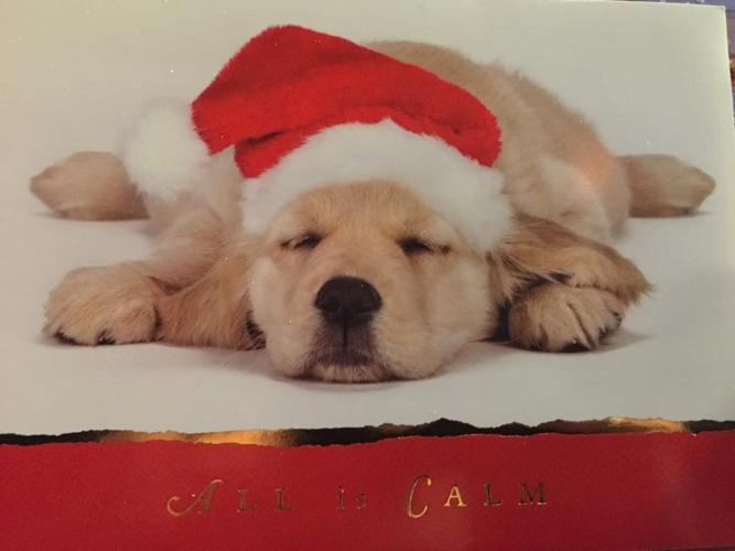 12319284_10154366948568032_1491559322_n