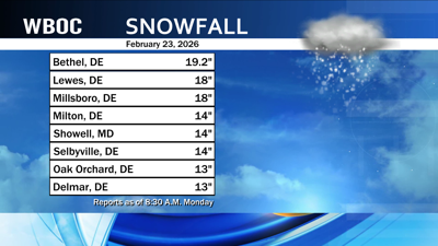 Snowfall totals Feb. 23