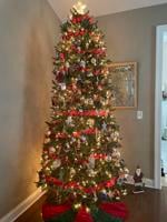Carol and Dennis Hartline’s tree in Millville, DE