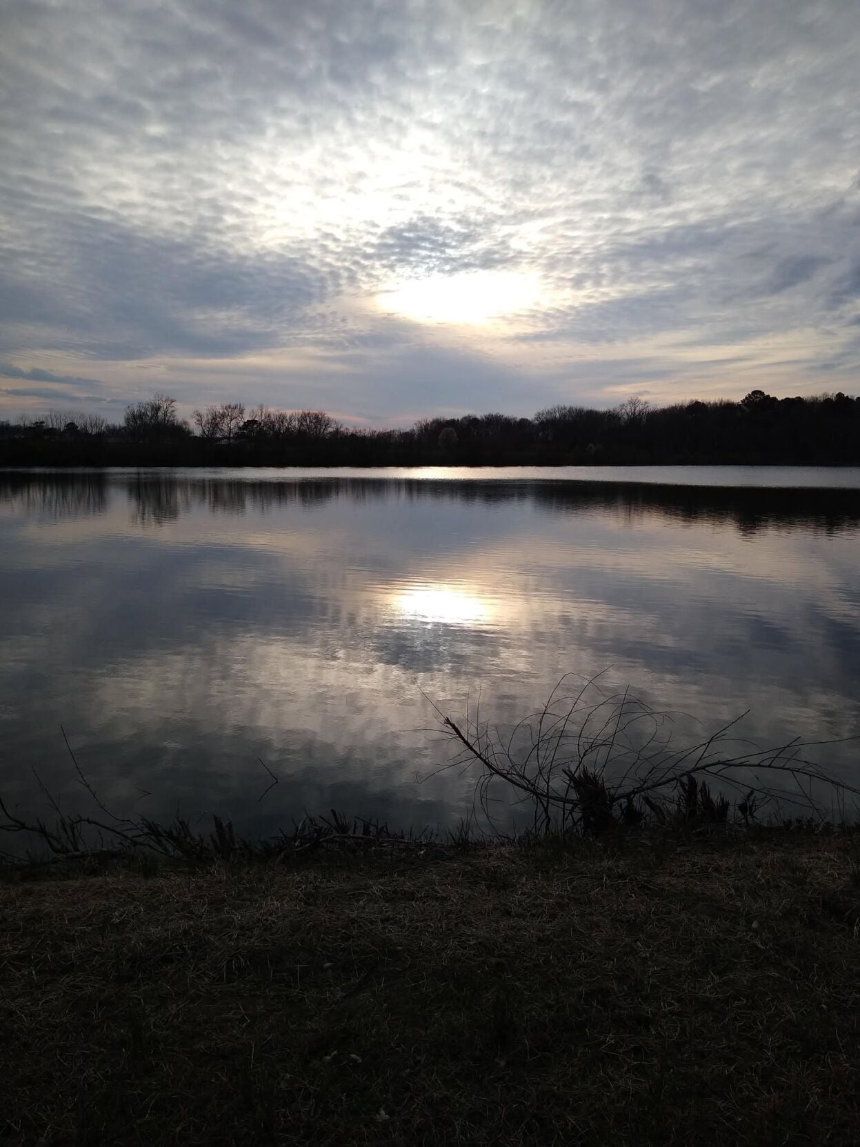 The sun reflected in the water at Heron Park in Berlin