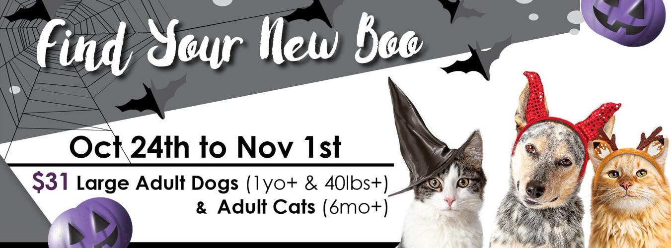 121974080_10158951197439808_922998163294663621_o