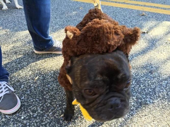 12177793_10154289813933032_1942895654_n