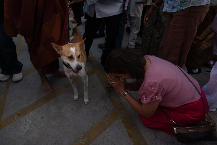 Walk for Peace Buddhist Monk