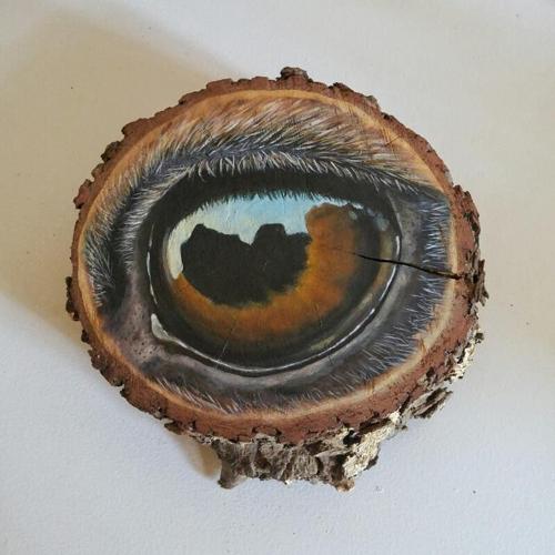 0410161551a-2_resized