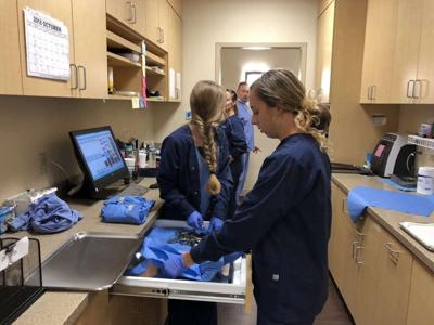 New Work-Based Capstone for Sussex Tech Seniors