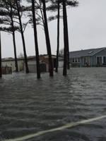 Delaware Mary Jo Foxwell-biscoe 6