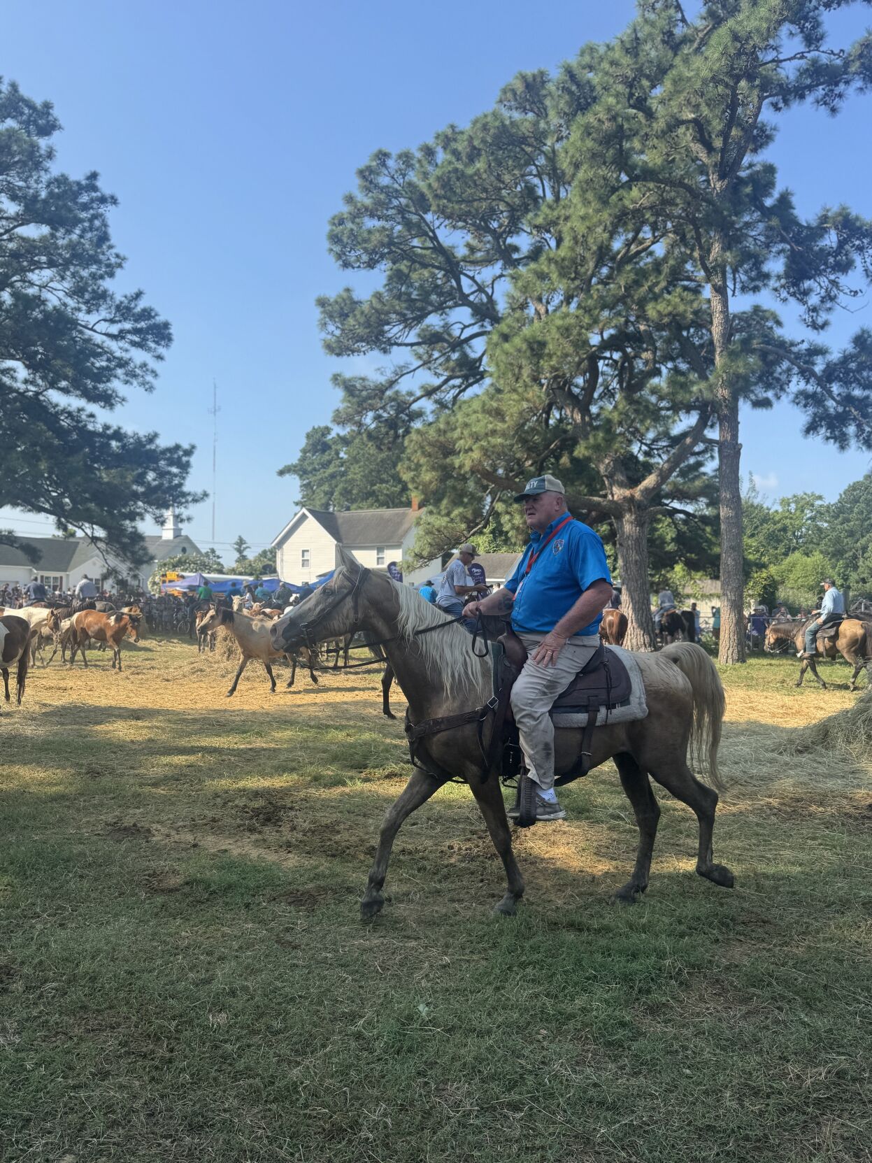 Photo Jul 30 2025, 9 41 56 AM.jpg