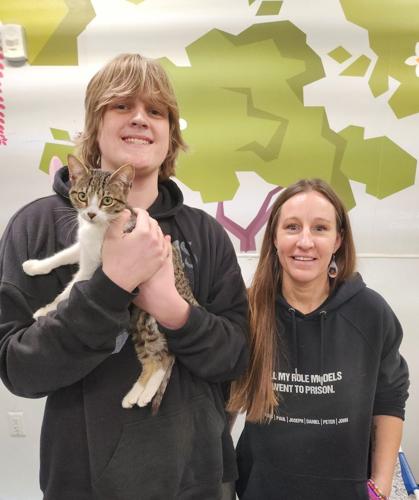 Popcorn Mega Adoption 2025